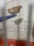 IMG_0674.jpeg
