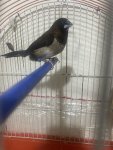 IMG_0672.jpeg