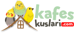kafes-logo.png