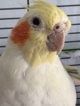 IMG_0528.jpeg