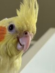 IMG_0763.jpeg