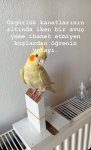 IMG_0769.jpeg