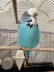 IMG_1516.jpeg