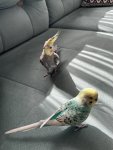 IMG_0622.jpeg