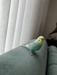 IMG_0527.jpeg
