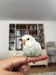 IMG_0764.jpeg