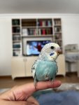 IMG_0772.jpeg