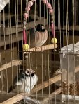 IMG_6854.jpeg