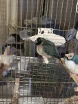 IMG_7896.jpeg