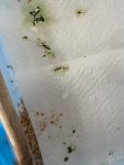 IMG_3983.jpeg
