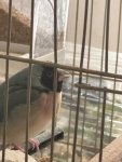 IMG_7941.jpeg
