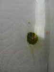 IMG20250515235908.jpg