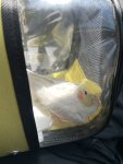 IMG_1172.jpeg