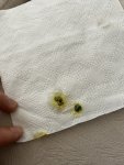 IMG_1173.jpeg