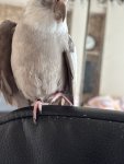 IMG_1534.jpeg