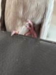 IMG_1535.jpeg