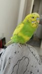 IMG_0605.jpeg