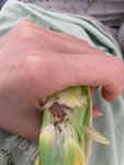 IMG_0757.jpeg