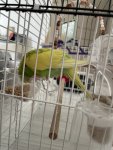 IMG_0766.jpeg