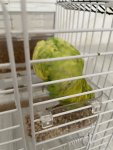 IMG_0764.jpeg