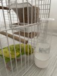IMG_0762.jpeg