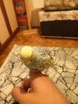 IMG20250515144907.jpg