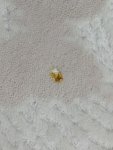 IMG20250517071906.jpg