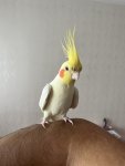 IMG_7837.jpeg
