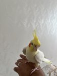 IMG_7977.jpeg