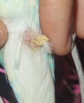 IMG_20250517_223814~2.jpg
