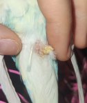 IMG_20250517_223814~3.jpg
