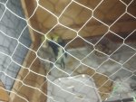 IMG_20250517_231544.jpg