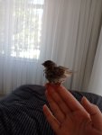 IMG20250518123525.jpg