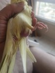 IMG_20250518_161417.jpg