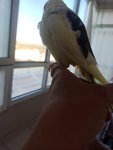 IMG_20250519_190717.jpg