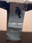 IMG20250520115559.jpg