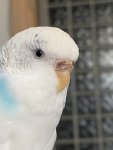 IMG_8420.jpeg