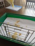 IMG-20250523-WA0001.jpg