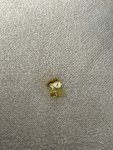 IMG_1278.jpeg