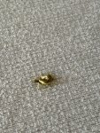 IMG_1281.jpeg