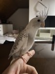 IMG_4718.jpeg