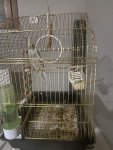IMG_4719.jpeg