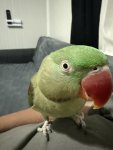 IMG_8260.jpeg
