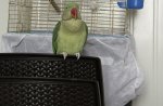 IMG_8278.jpeg