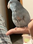 IMG_0722.jpeg