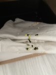 IMG_2486.jpeg