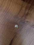 IMG_6558.jpeg