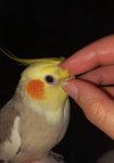20250620_230006.jpg
