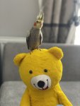 IMG_2098.jpeg