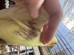 IMG_6634.jpeg